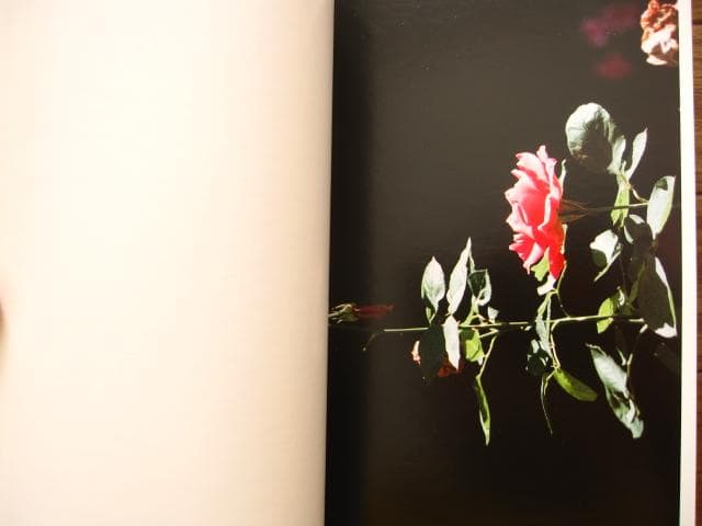 アート・デザイン・音楽 Lina Scheynius 08