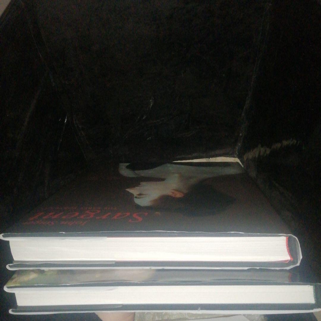 ジョンシンガーサージェント画集2冊セット John SingerSargent