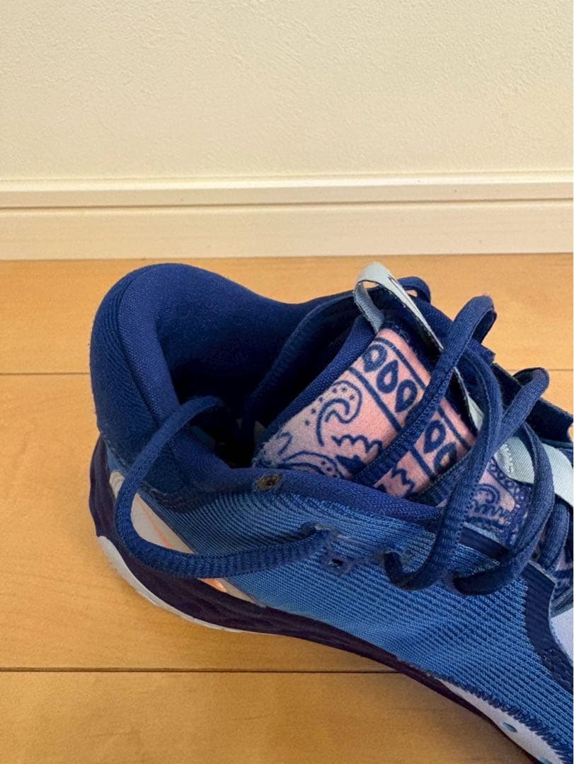 【お値下げ】ナイキ　PG6 ペイズリー　29cm