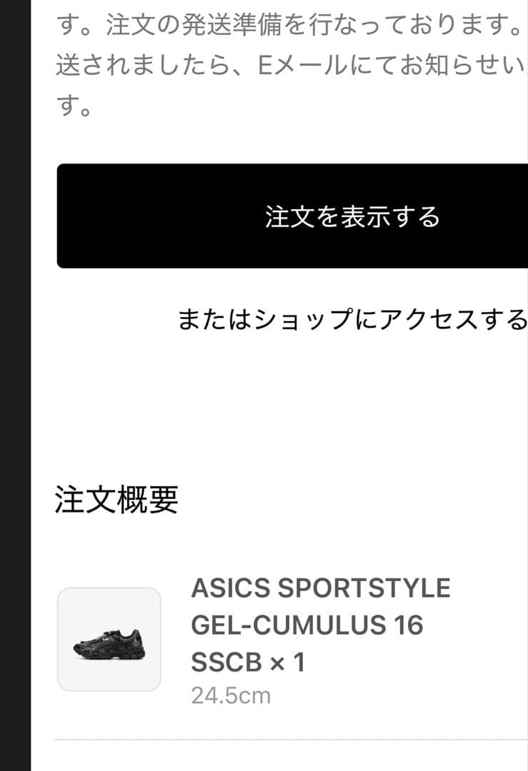 ASICS GEL-CUMULUS 16 SSCB セシリーバンセン