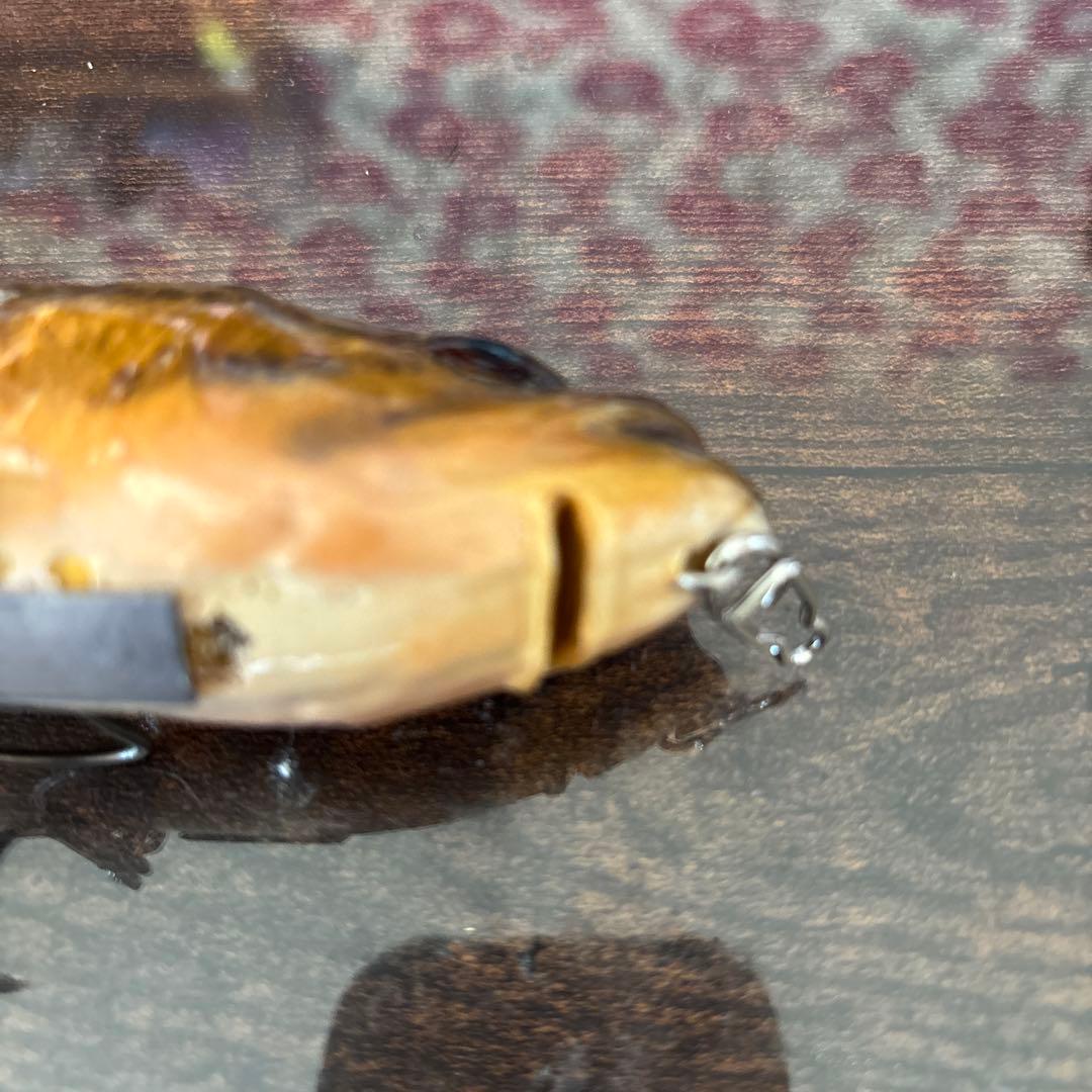 クラッシュ9魚皮