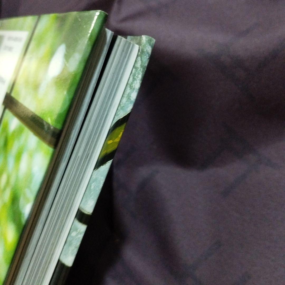 日本のステンドグラス小川三知の世界