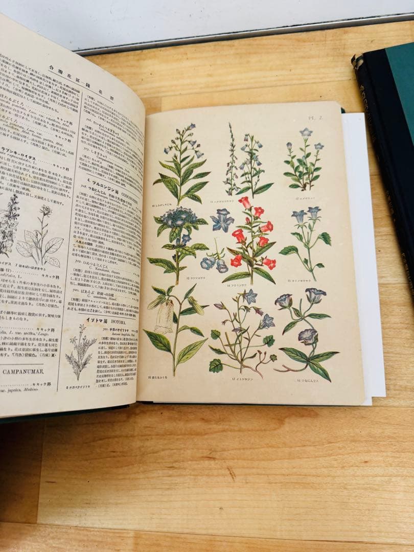 希少 レア 昭和レトロ 植物原色大圖鑑 全十三巻　置物 飾り物 インテリア