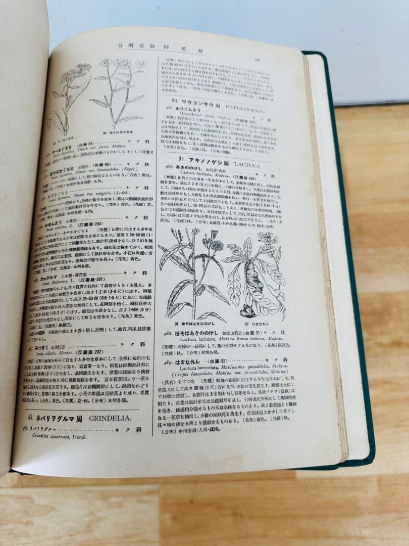 希少 レア 昭和レトロ 植物原色大圖鑑 全十三巻　置物 飾り物 インテリア