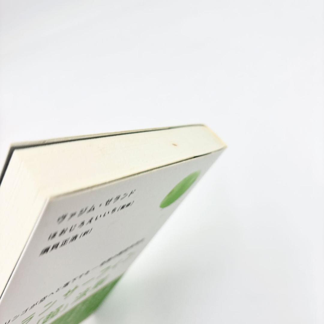 トランサーフィン鏡の「超」法則 : リンゴが空へと落下する-奇跡の願望実現法