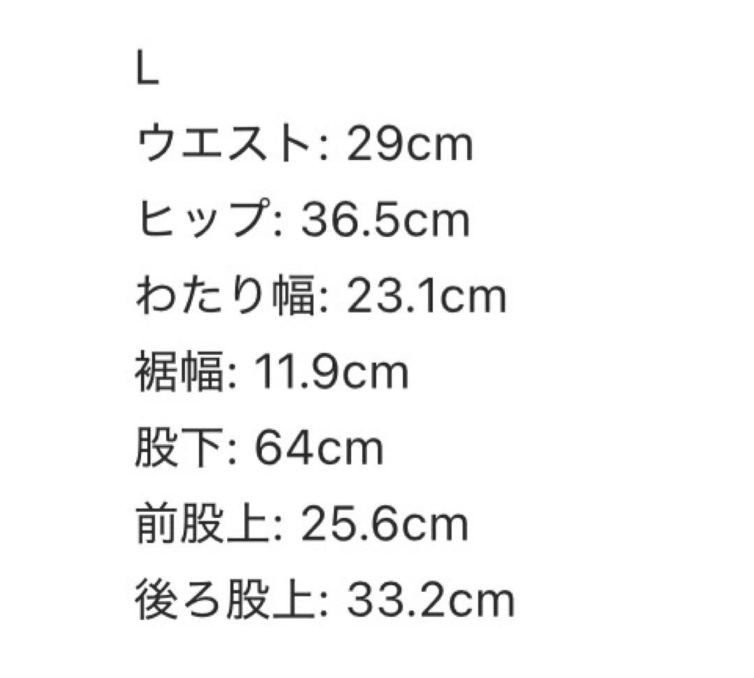 Alexia stam A Wellness裏起毛レギンス ブラックL 値下不可