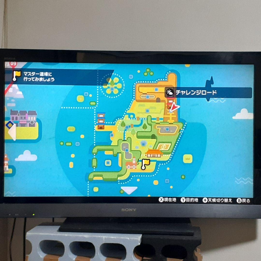 ポケットモンスター シールド エキスパンションパス付属 Switch ソフトのみ