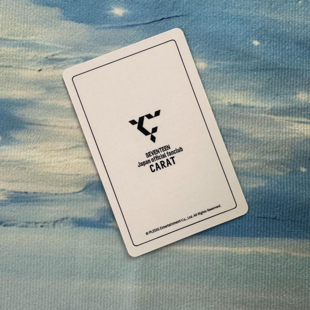 SEVENTEEN MY BEST 投票企画 トレカ ドギョム