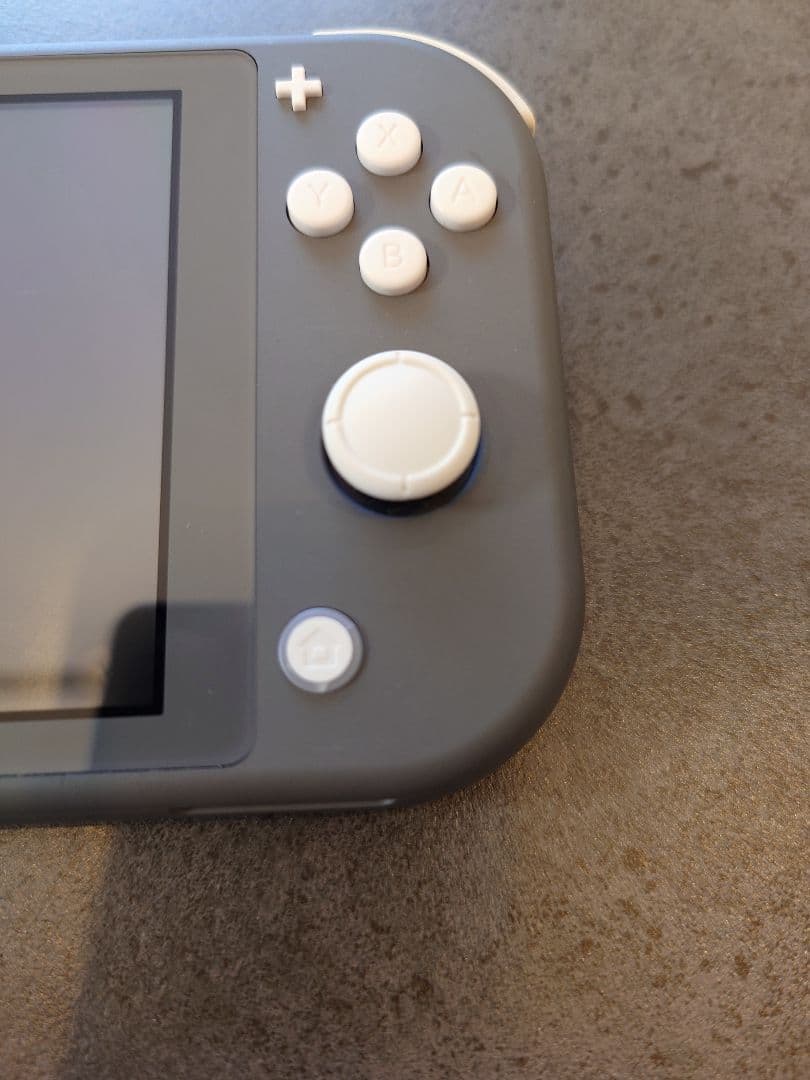 Nintendo Switch Liteグレー本体+シリコンカバー+ケース付