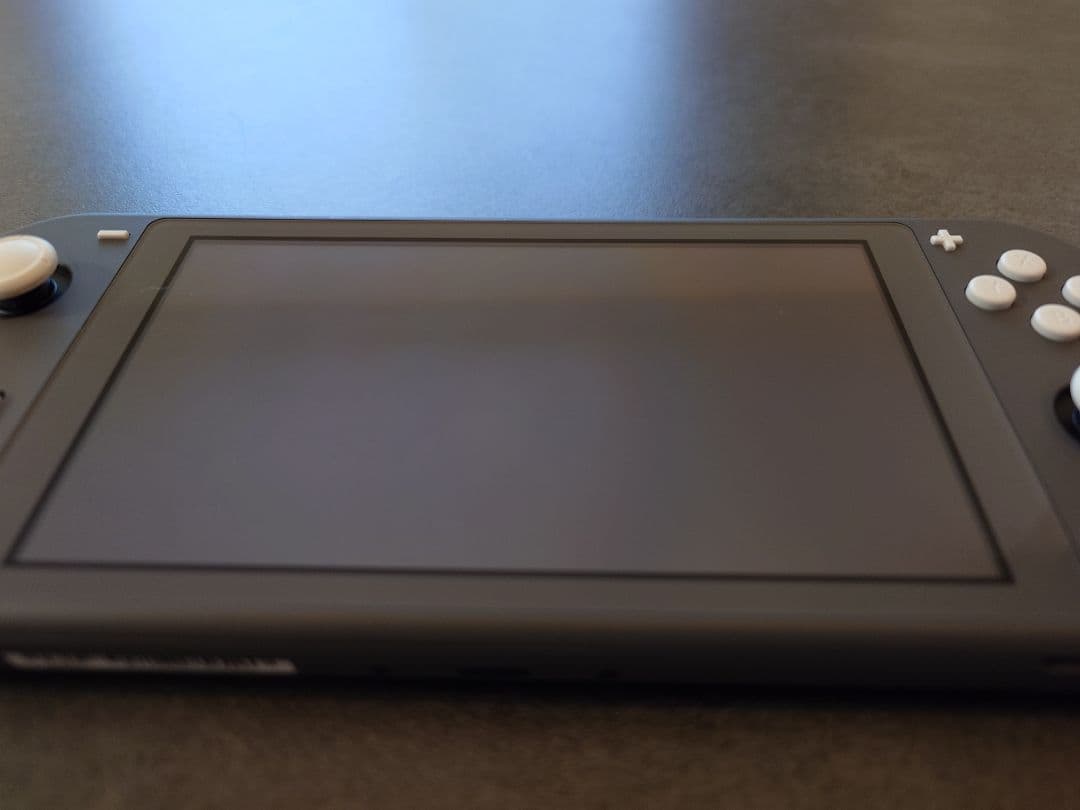 Nintendo Switch Liteグレー本体+シリコンカバー+ケース付