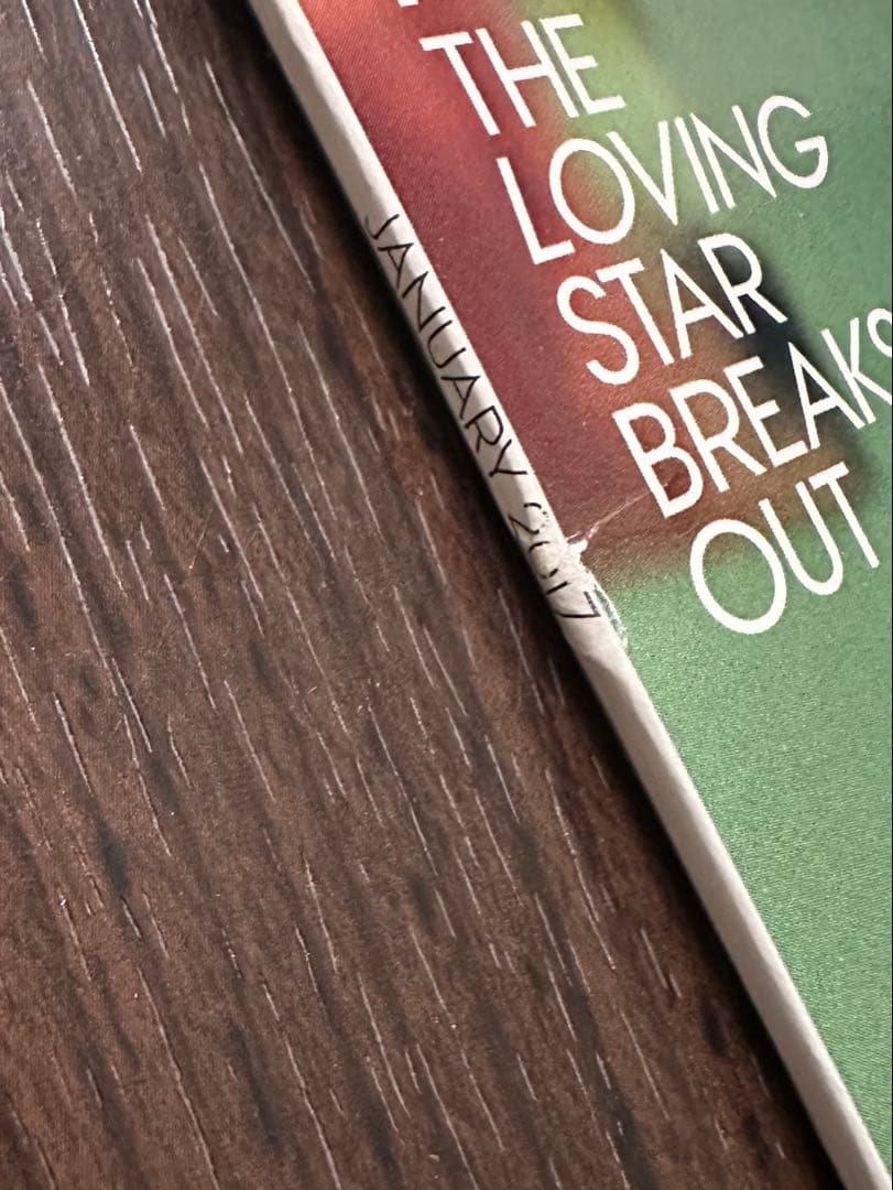 VOGUE US 2017年 12冊セット