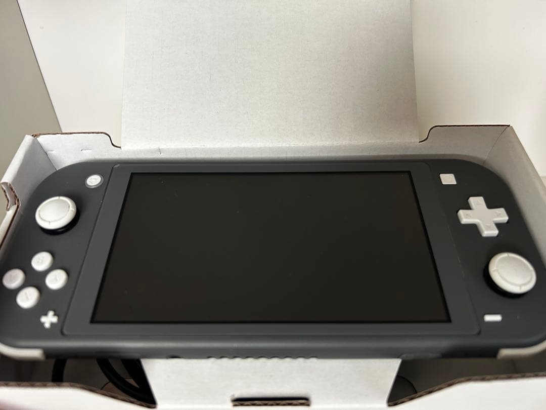 Nintendo Switch Lite Gray スイッチライト
