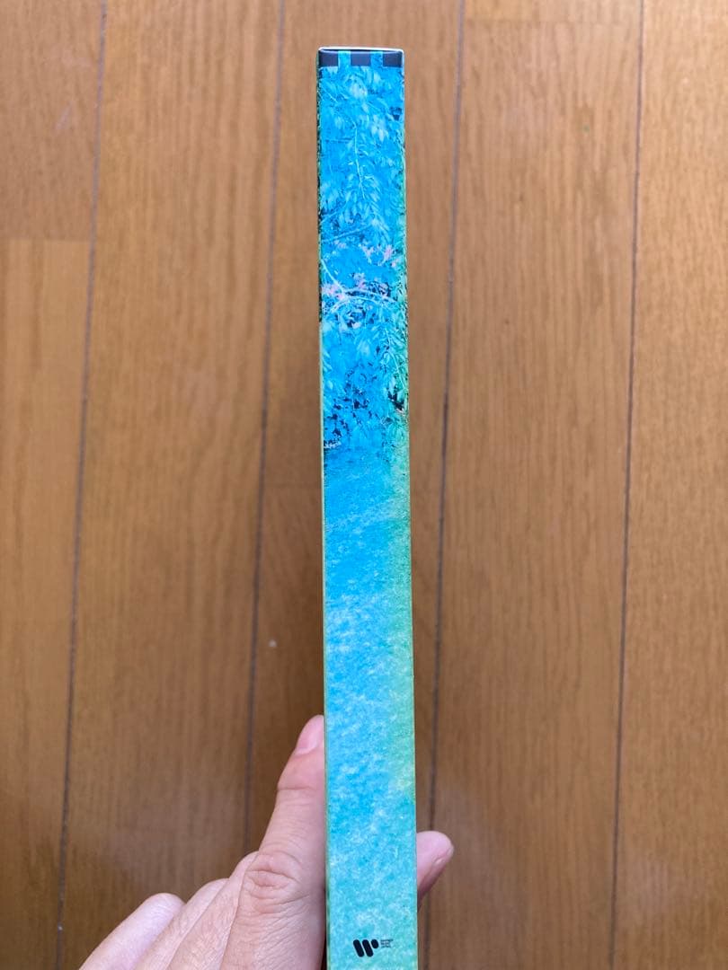 あいみょん/瞳へ落ちるよレコード　グッズセット