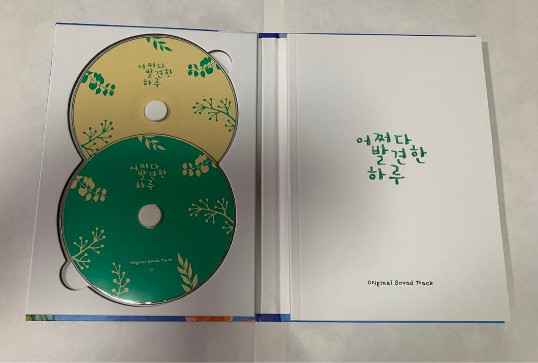 韓国ドラマ　偶然見つけたハル　OST