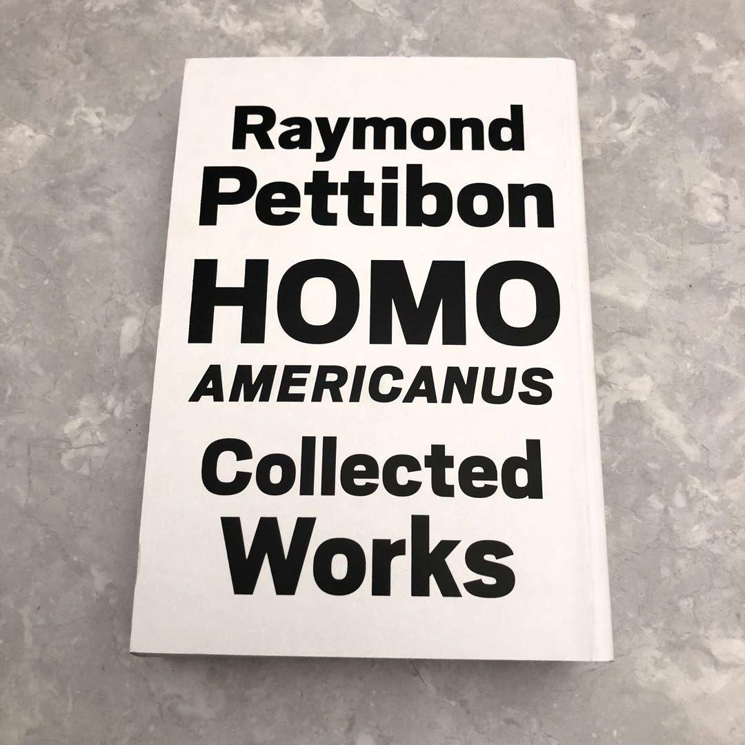 ★美品★Raymond Pettibon アートブック イラスト ハードコア