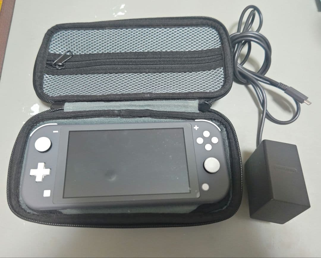 Nintendo Switch Lite グレー 本体 充電器 ケース付き