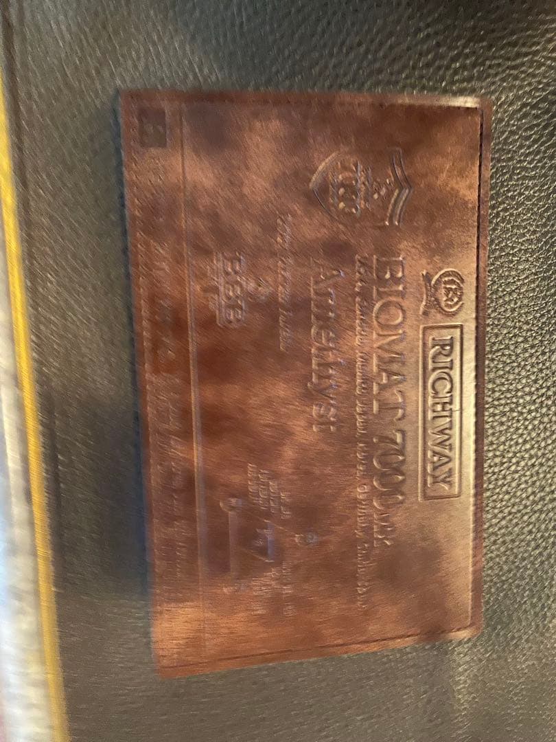 リッチウェイバイオマット　 7000mx 2点セット　シングルマット&ピロー