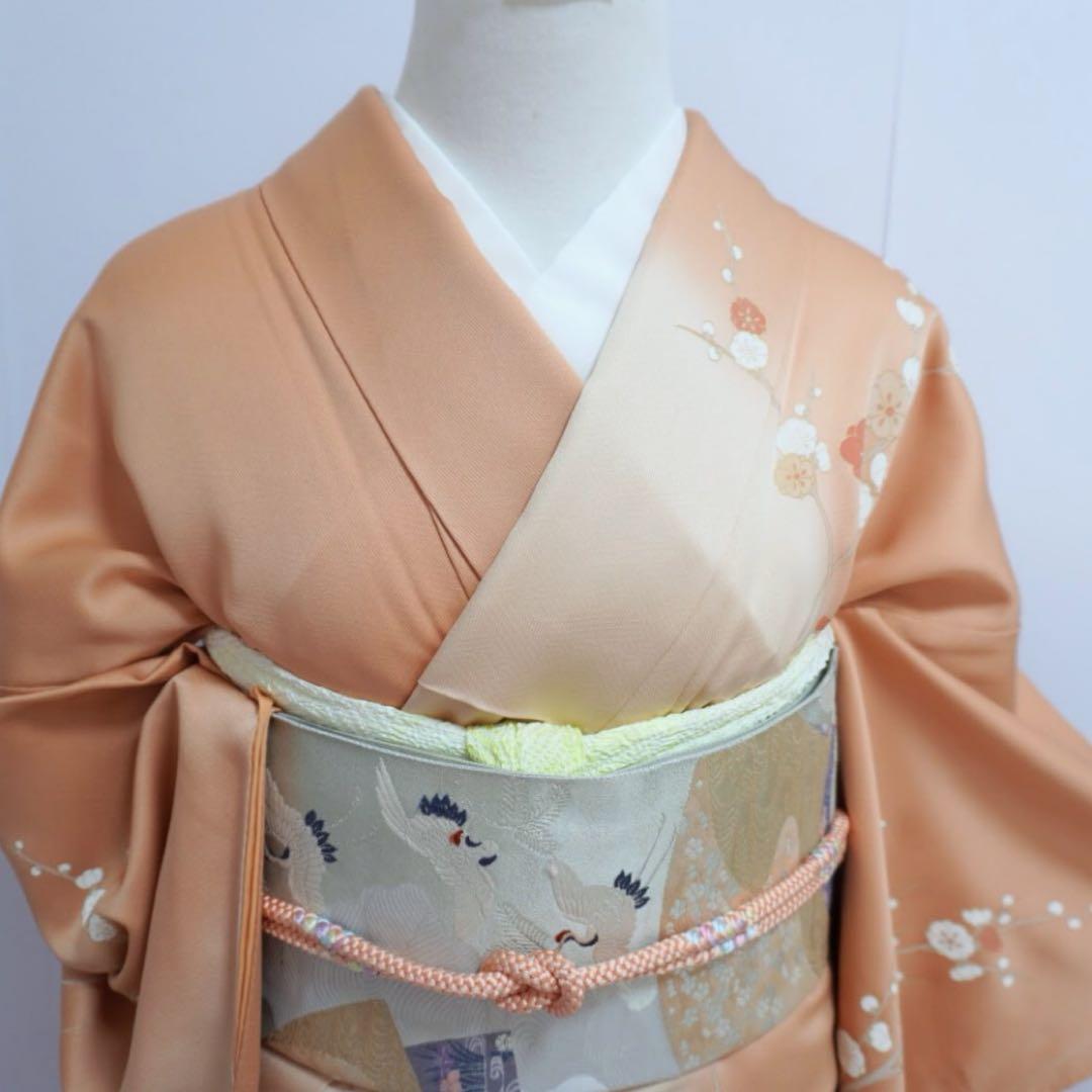 訪問着　4点フルセット 414七五三 お宮参り 卒業式　入学式　結婚式　裄丈69