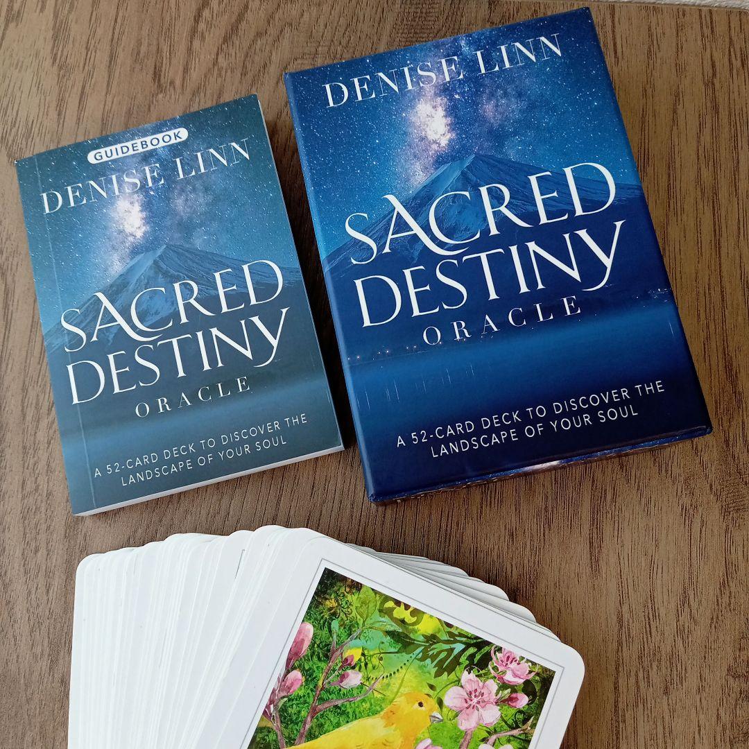 カード３点セット／トーキングトゥヘブンミディアムシップカード他