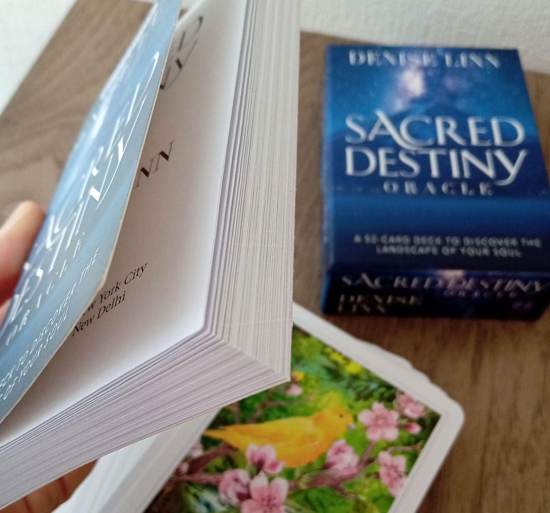 カード３点セット／トーキングトゥヘブンミディアムシップカード他