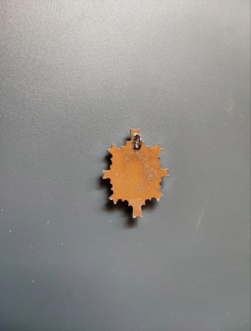 5級 防衛功労章 13号 綬付