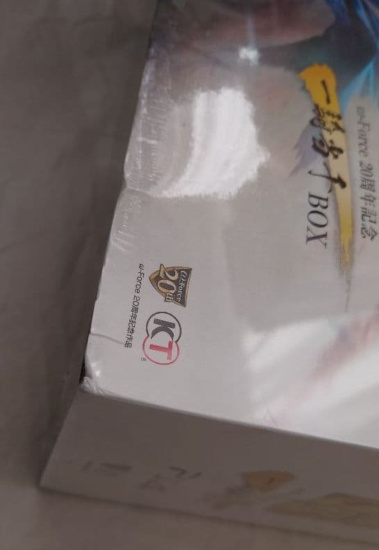 真・三國無双8 ω-Force 20周年記念 一騎当千BOX