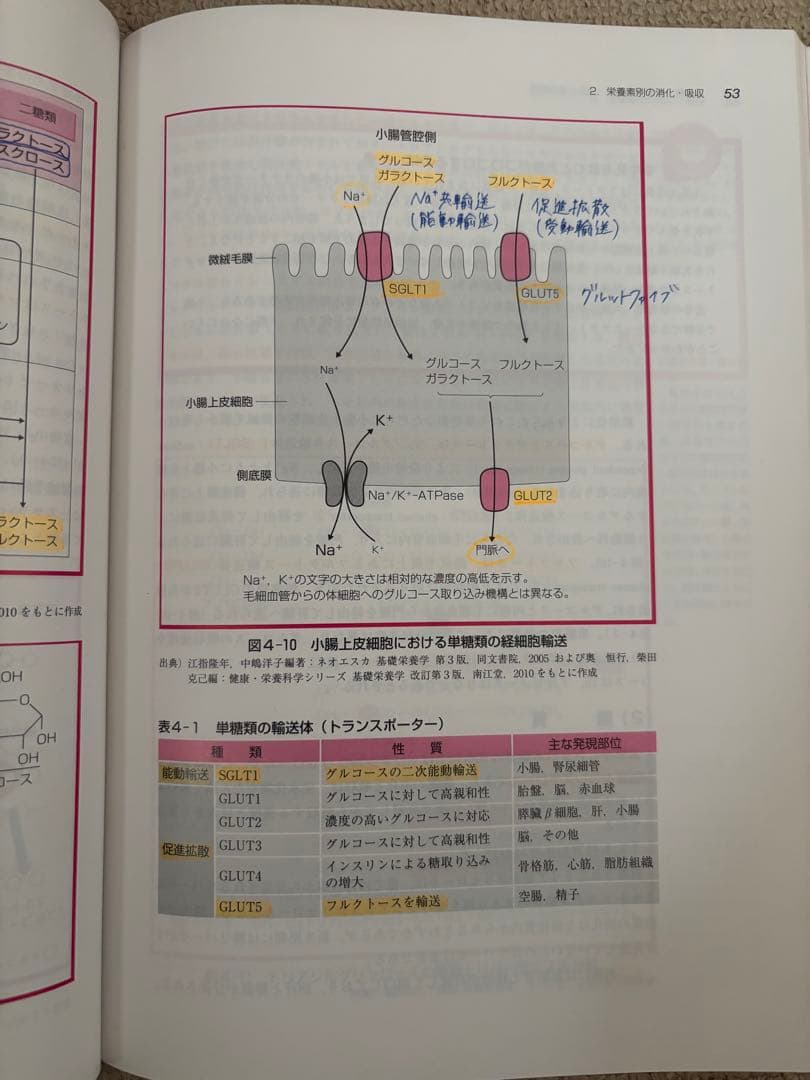 管理栄養士　教科書