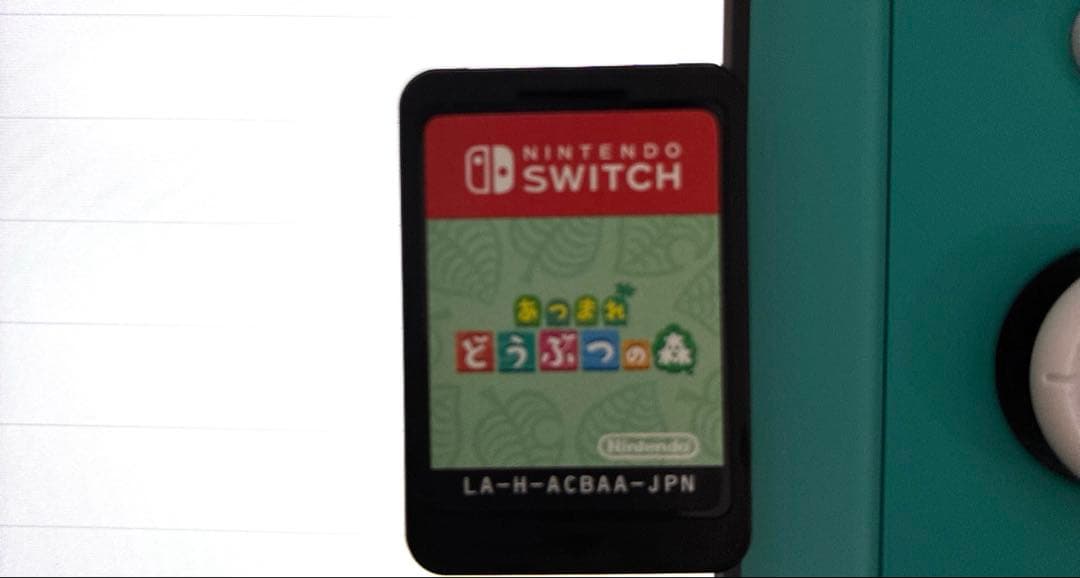 Nintendo Switch Lite 本体　充電器・ソフト付き