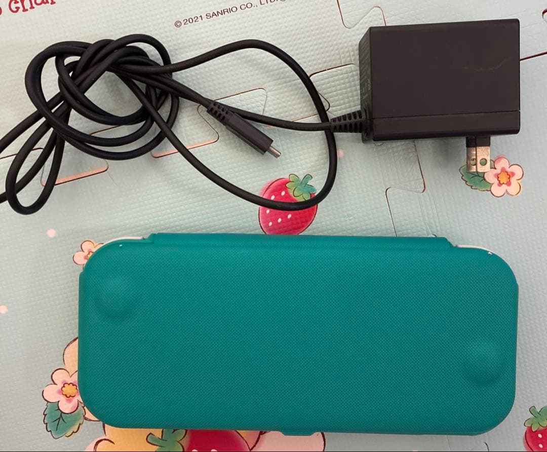 Nintendo Switch Lite 本体　充電器・ソフト付き