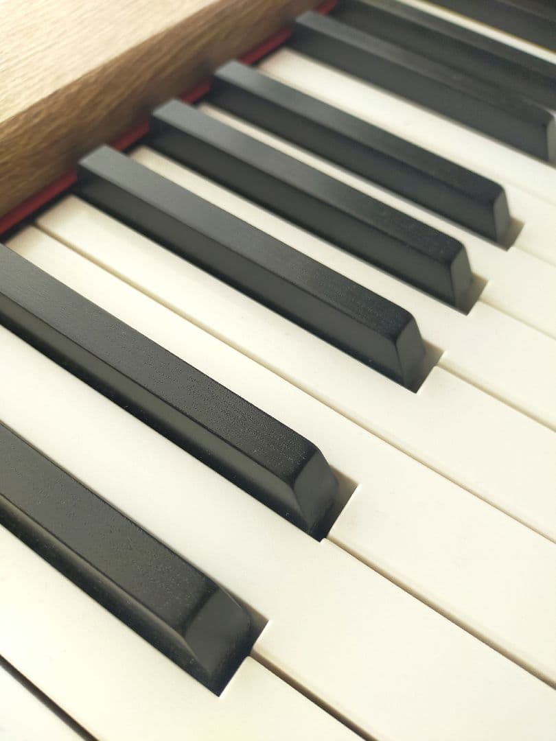 Donner ドナー 電子ピアノ セミウェイト 88鍵盤 DDP-60