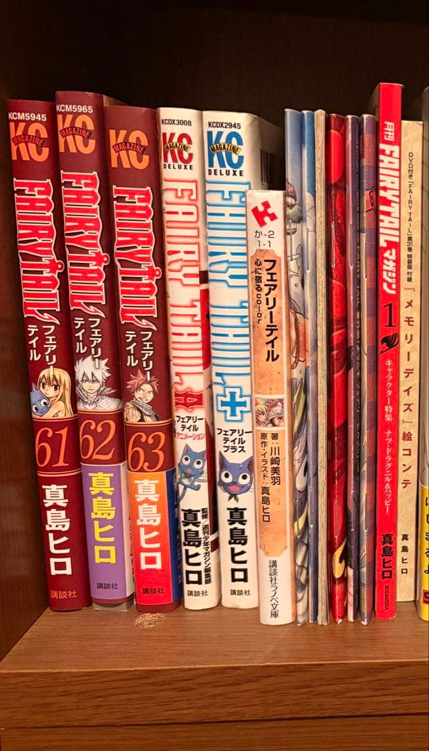 フェアリーテイル全巻＋特装版DVD、パンフレット【値下げコメント可⭕️】