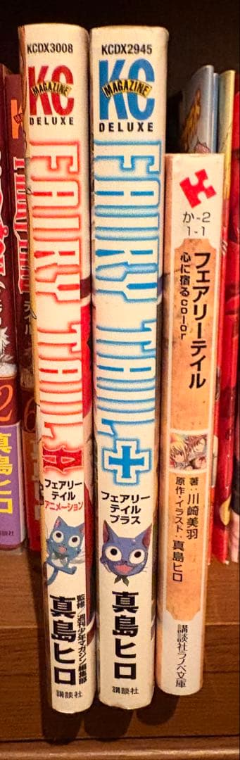 フェアリーテイル全巻＋特装版DVD、パンフレット【値下げコメント可⭕️】