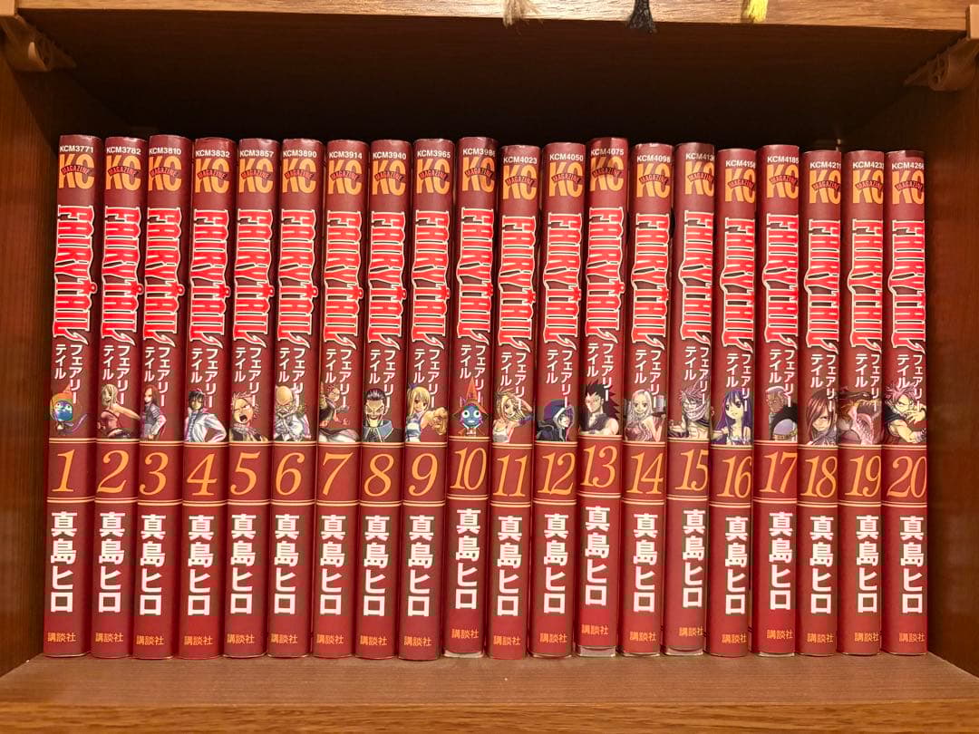 フェアリーテイル全巻＋特装版DVD、パンフレット【値下げコメント可⭕️】