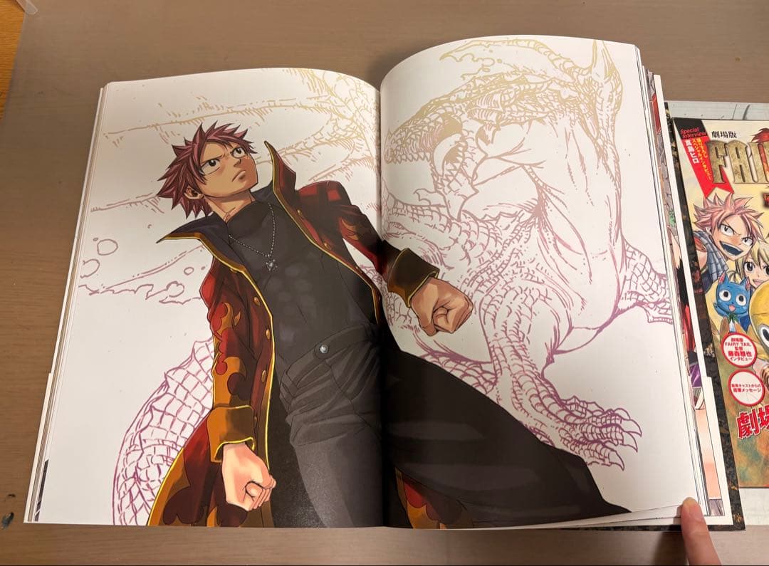 フェアリーテイル全巻＋特装版DVD、パンフレット【値下げコメント可⭕️】