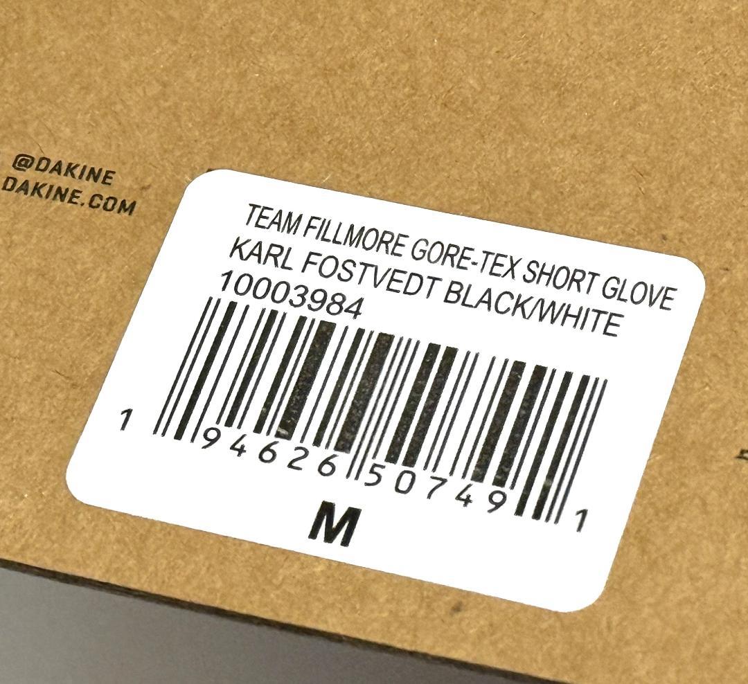 新品 DAKINE ダカイン TEAM FILLMORE GORE TEX M