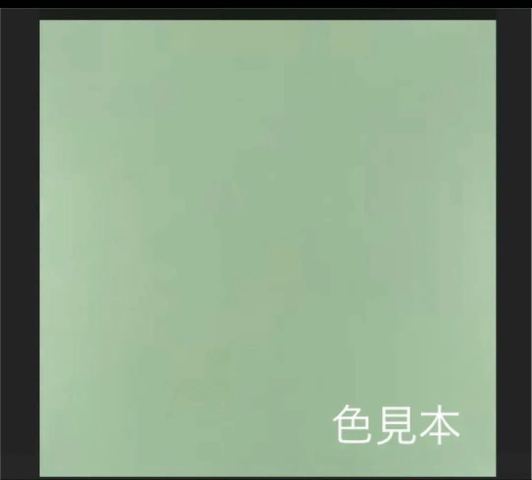 正面　色無地　振袖