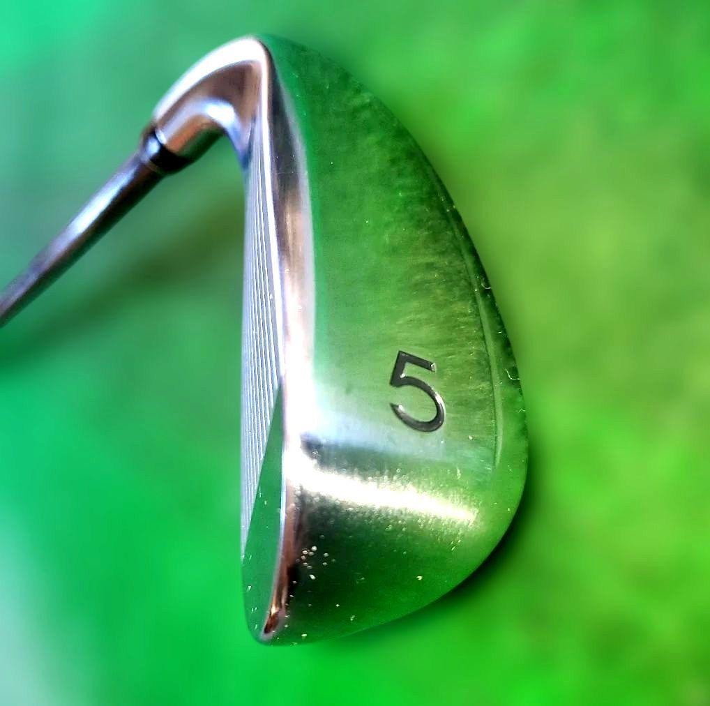 【値下げ綺麗】PRGR NEW Eggアイアン5番M35 2019年モデル