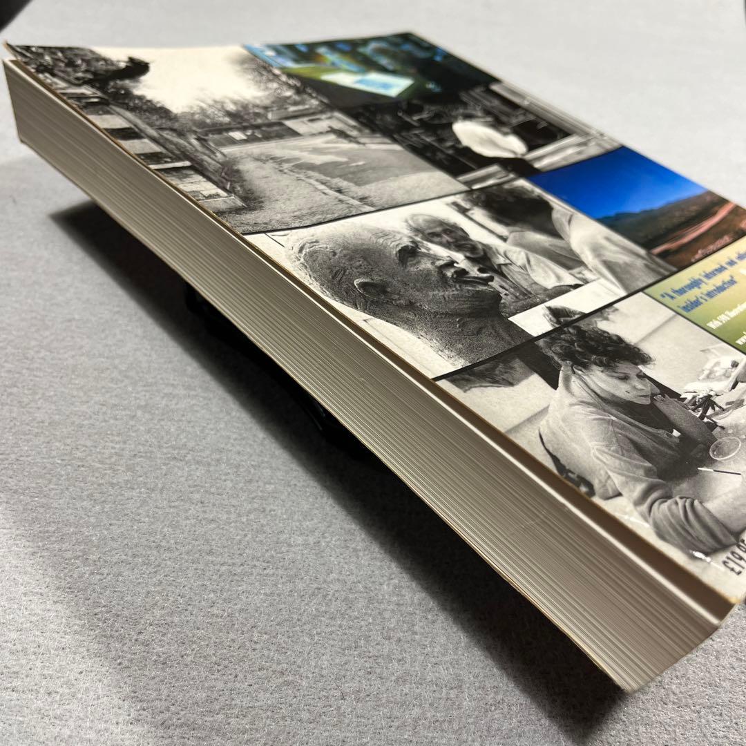 Art Since 1940: Strategies of Being 英語版