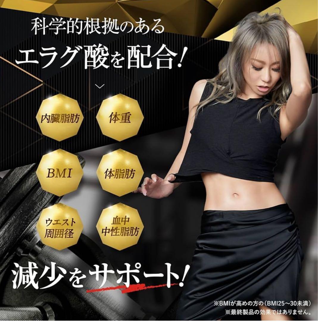 KILLER BURNER II ダイエットサプリ 90粒✖️２袋