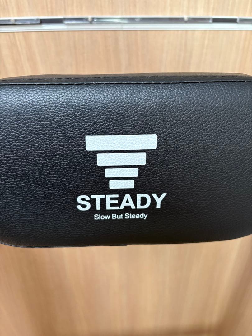 STEADY 懸垂マシン ぶら下がり健康器 ブラック