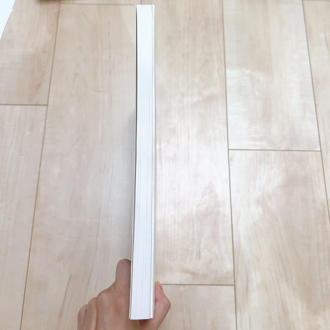 THE ART OF 天使のたまご 増補改訂版