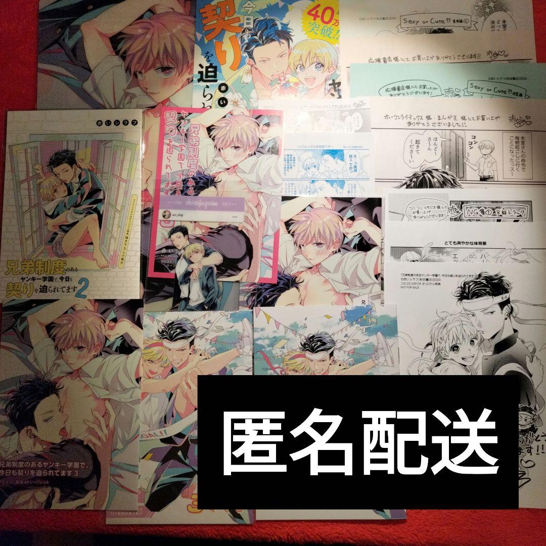 赤いシラフ　兄弟制度のあるヤンキー学園で、今日も契りを迫られてます　特典セット