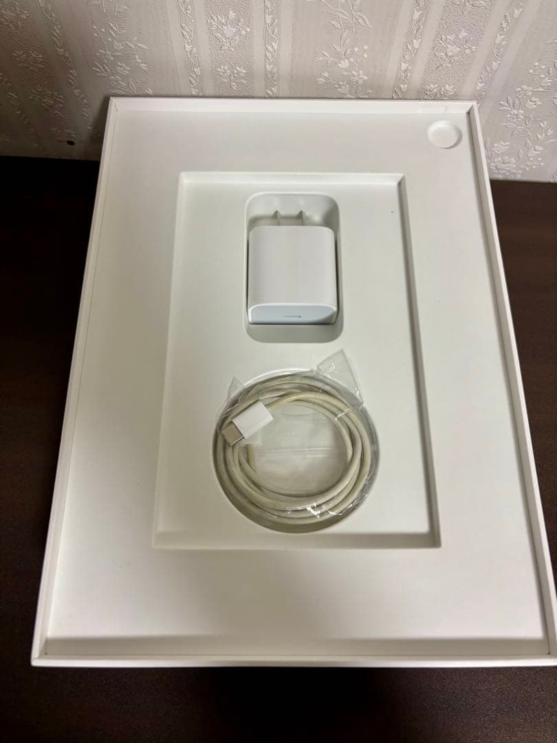 iPadPro11インチ 第1世代 64GB Wi-Fi+Cellular