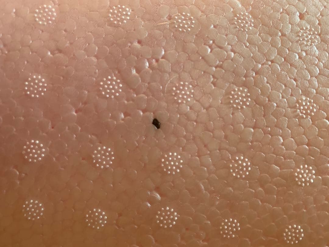 【新品】RITFIT ピラティス　バレル　スパインコレクター