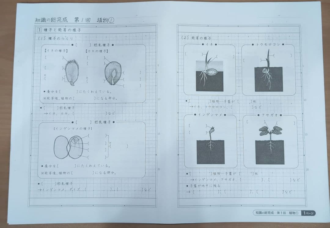 SAPIX　知識の総完成　理科　1〜19回　　2025年受験