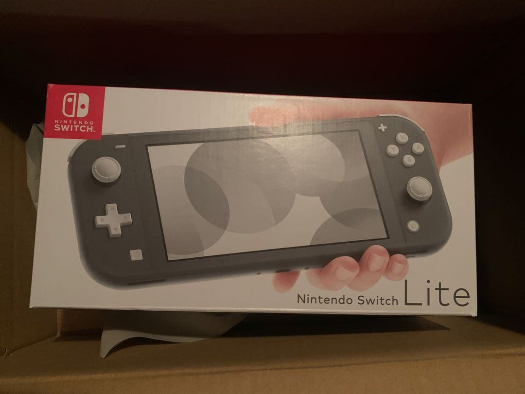 Nintendo Switch Lite グレー 本体(新品未開封)
