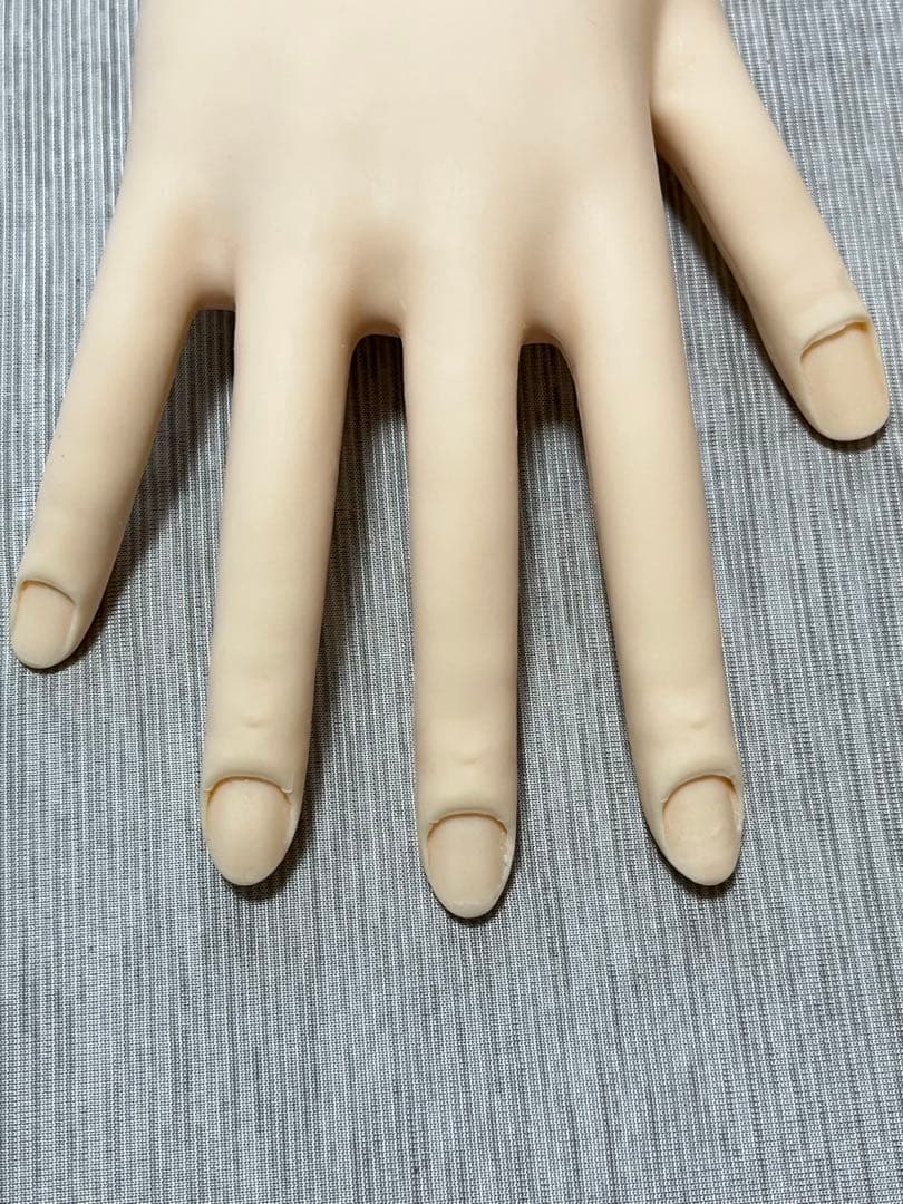 【美品】ネイリスト技能検定試験用JNEC認定モデルハンド