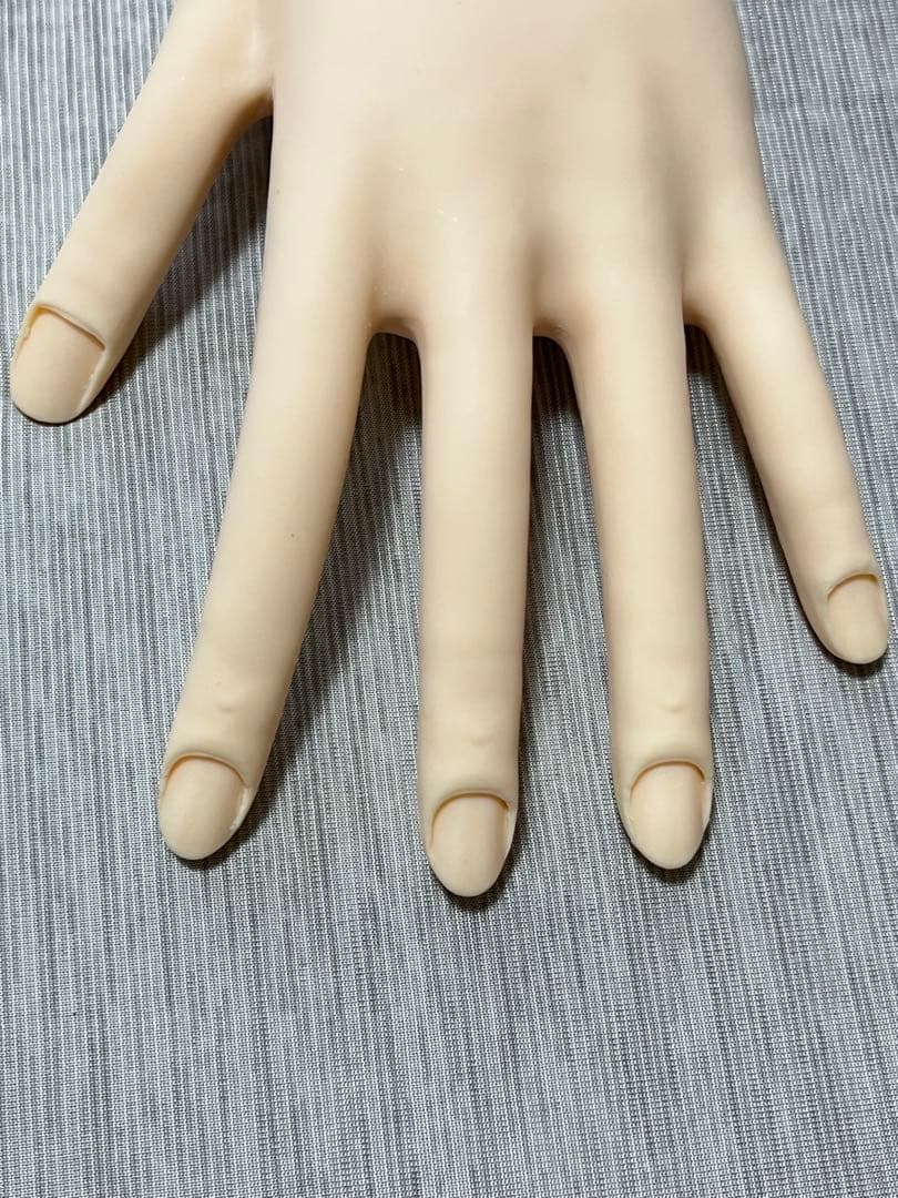 【美品】ネイリスト技能検定試験用JNEC認定モデルハンド