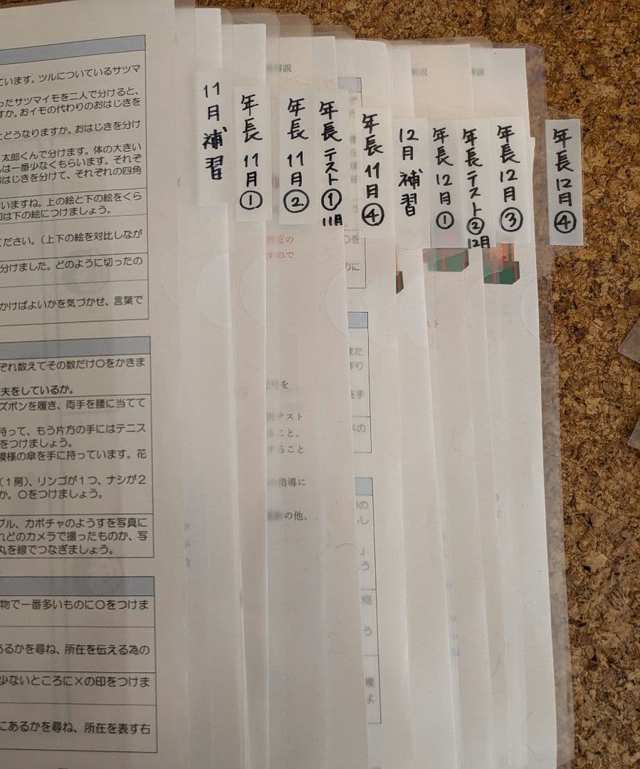 【伸芽会】年長11〜10月　総合クラス　冬期　夏期　直前講習　未記入プリント