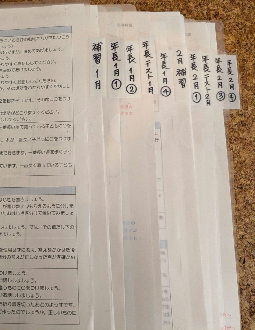 【伸芽会】年長11〜10月　総合クラス　冬期　夏期　直前講習　未記入プリント